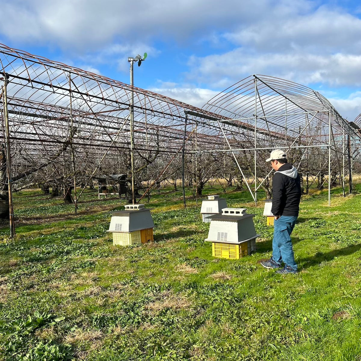 カカオニブ&生はちみつ(山形県天童市産)
