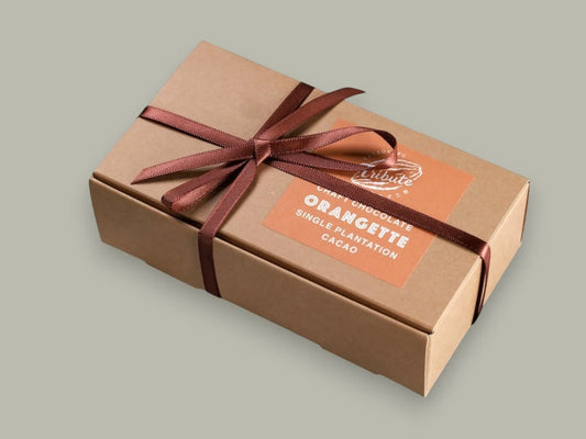 ORANGETTE MIX オランジェットミックス Candied Orange Peel & Slice in Dark Chocolate カカオ工房トリビュート
