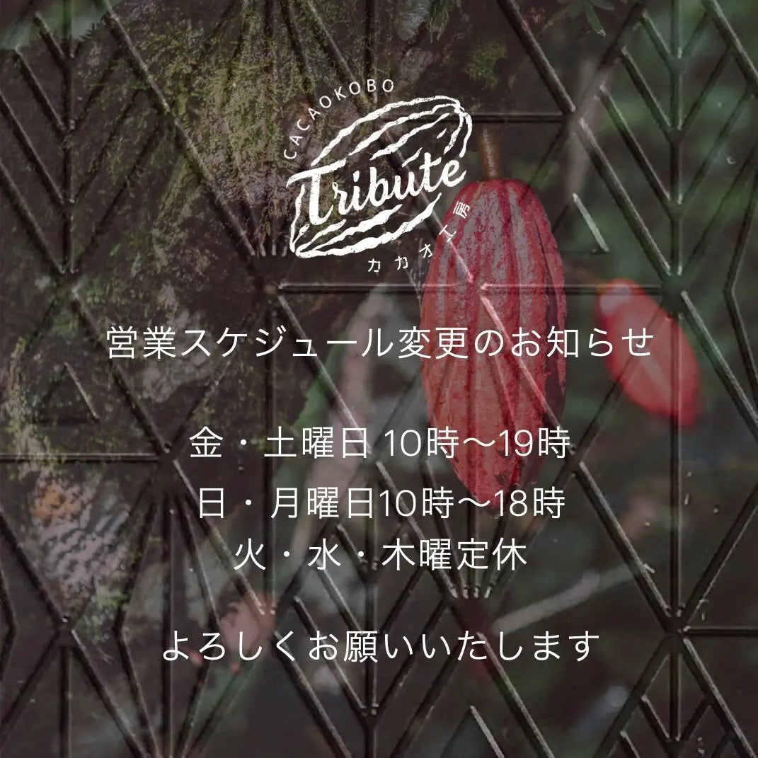 営業スケジュール変更のお知らせ CACAOKOBO TRIBUTE カカオ工房トリビュート