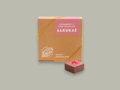 CACAOKOBO TRIBUTE SAKURAE Strawberry & Dark Chocolate craft chocolate squares.