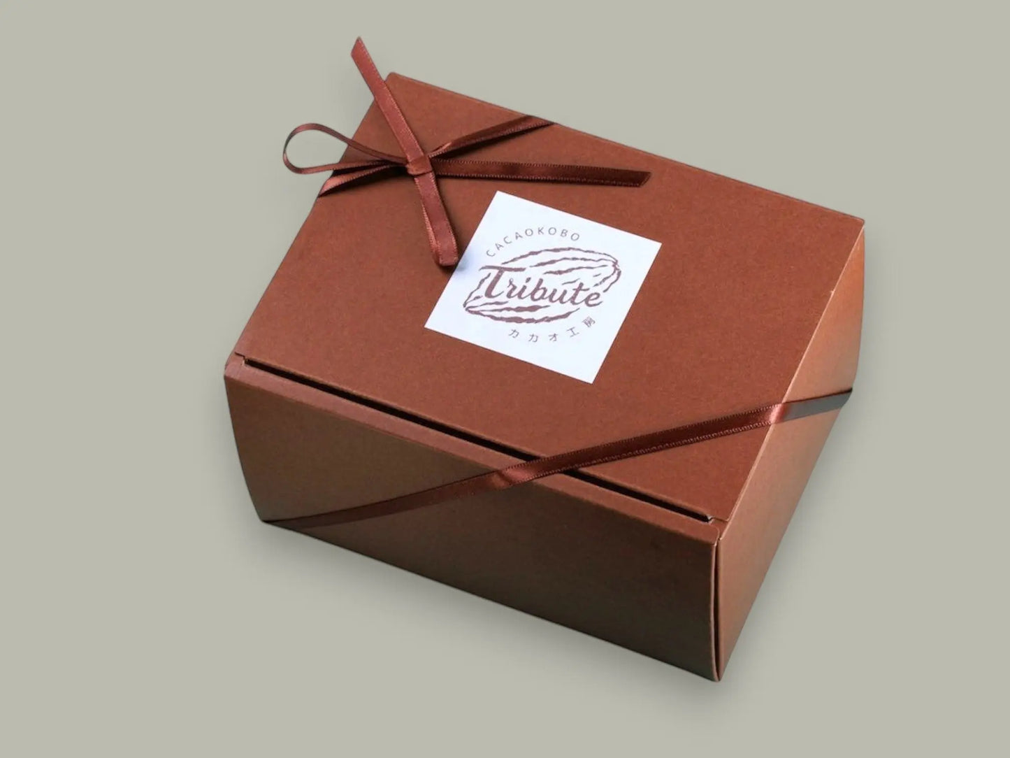 生ガトーショコラ　Rare Chocolate Cake カカオ工房トリビュート
